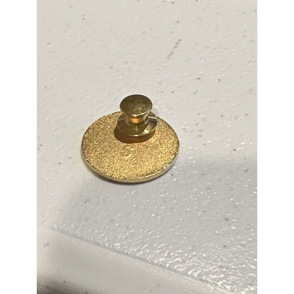 Mary Kay World Globe Silver Gold Tone Round Lapel Pin 1”Make up Consultant Award - Picture 2 of 2